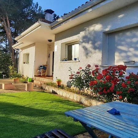 Appartement Entre Pinos Y Medusas à Pedrezuela Extérieur photo