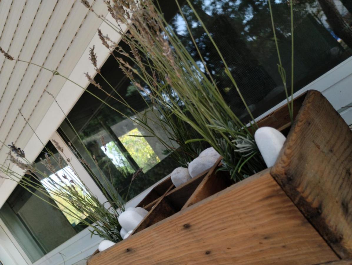 Appartement Entre Pinos Y Medusas à Pedrezuela Extérieur photo