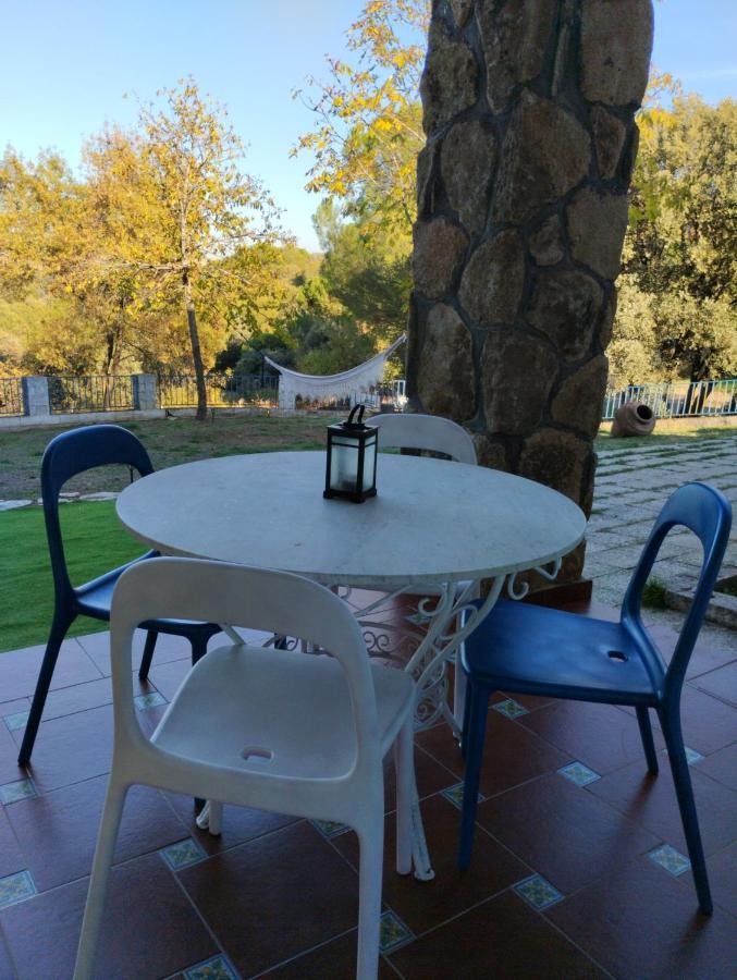 Appartement Entre Pinos Y Medusas à Pedrezuela Extérieur photo
